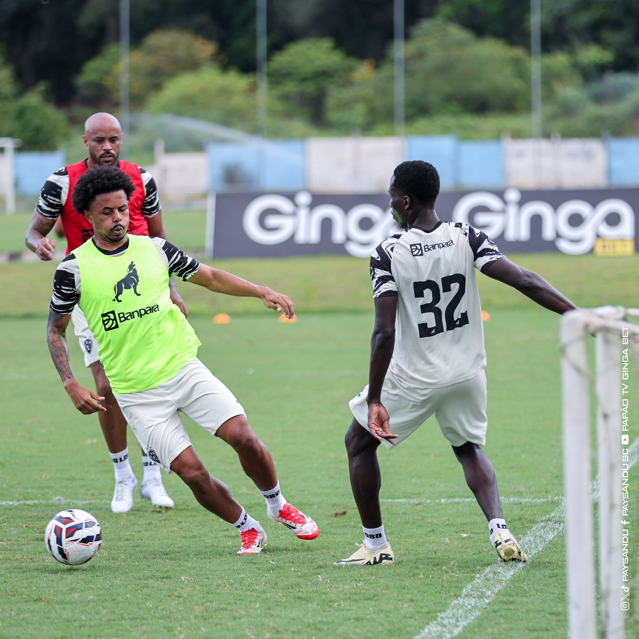 Imagem - Reforço é apresentado e afirma: 'Paysandu estava fazendo bons jogos'