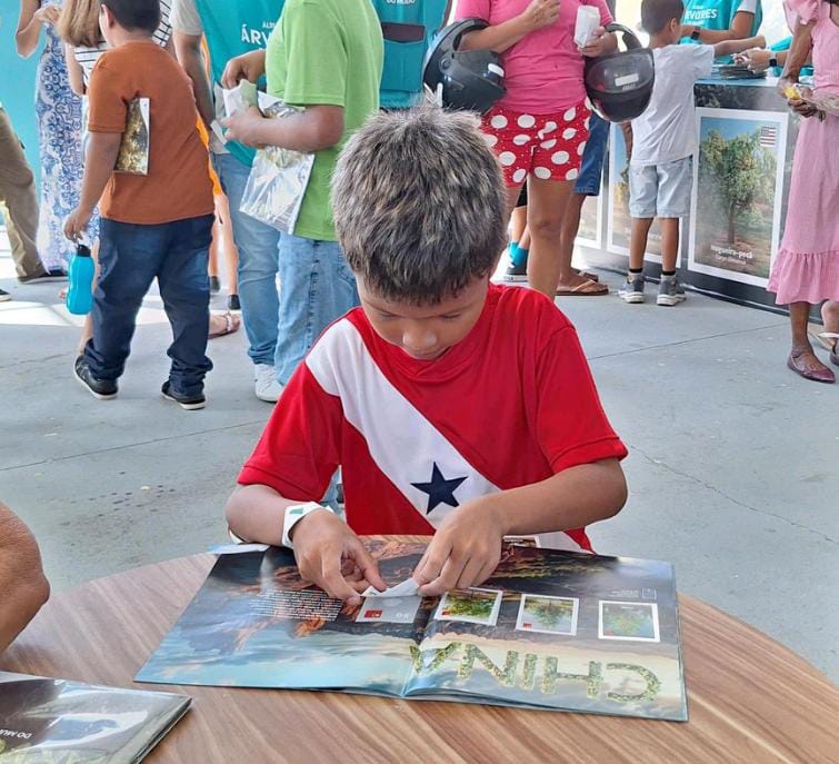 Imagem - Crianças atendidas na Usina da Paz do Benguí recebem álbum de figurinhas com árvores de diferentes lugares do planeta