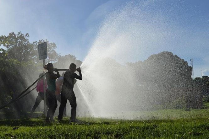 (O programa estabelece uma abordagem ampla que combina prevenção, resposta rápida e ações para este ano de 2025.)