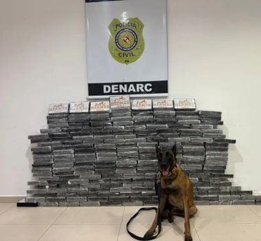 Imagem - Polícia Civil apreende 200 tabletes de cocaína escondidos em carga de milho no Pará