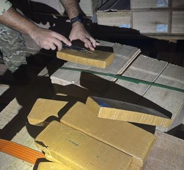 Imagem - PF apreende mais de meia tonelada de skunk em caminhão no interior do Pará