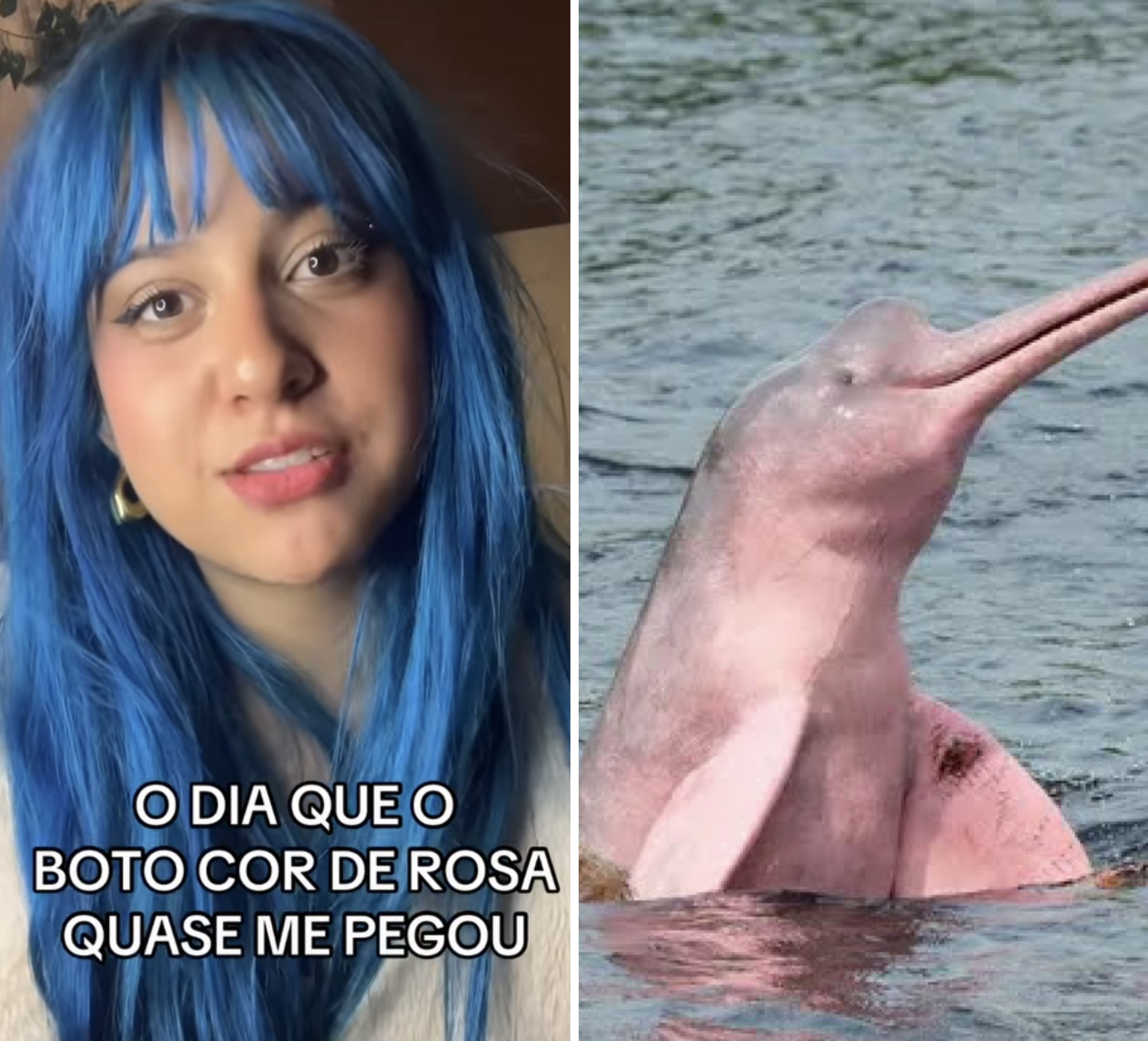 Reprodução 