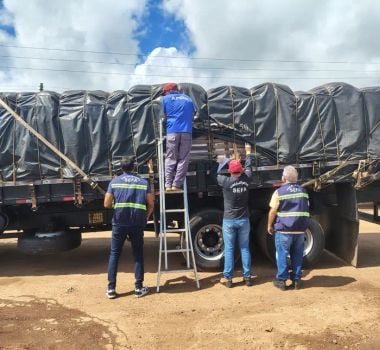 Imagem - Sefa apreende cargas irregulares de açaí, resina e jet ski no Pará