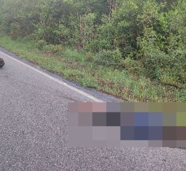 Imagem - Motociclista é encontrado morto em estrada de Ajuruteua no Pará