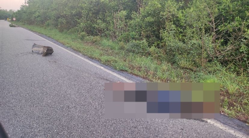 Um motociclista foi encontrado morto na Rodovia PA-458, em Bragança.