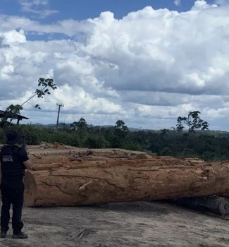 Imagem - Operação em Anapu apreende madeira ilegal e leva quatro pessoas à delegacia