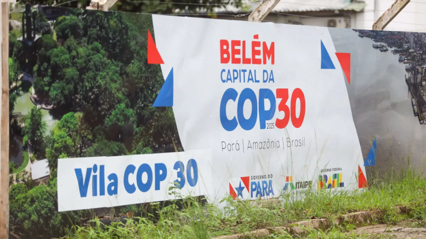Reprodução 
