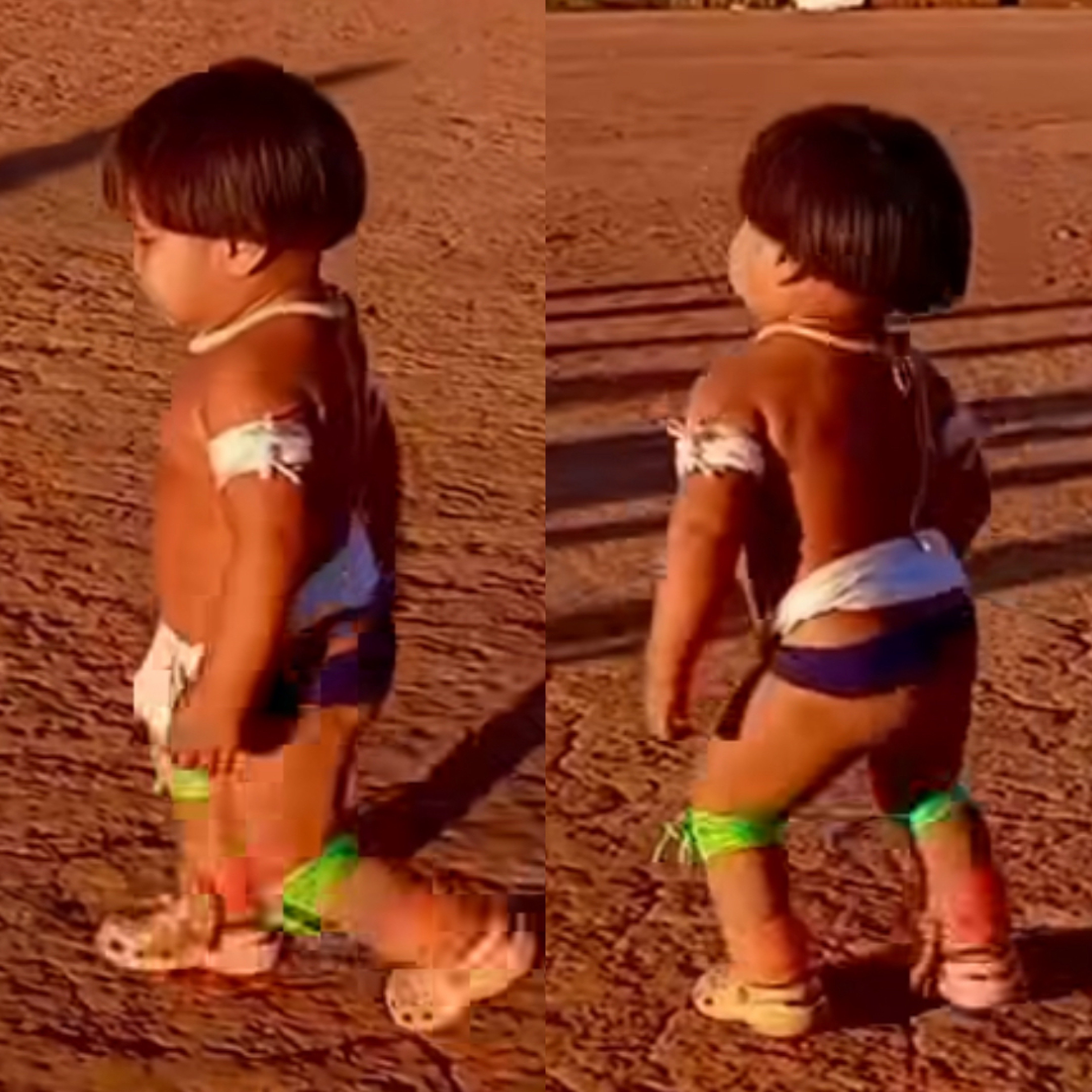 Reprodução 