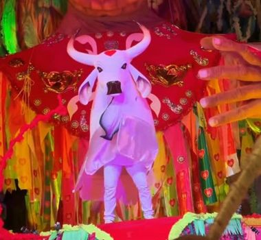 Imagem - Boi Garantido conquista o título de campeão do 58º Festival de Parintins