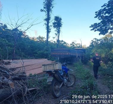 Imagem - Polícia Federal prende quatro por desmatamento ilegal em assentamento no oeste do Pará