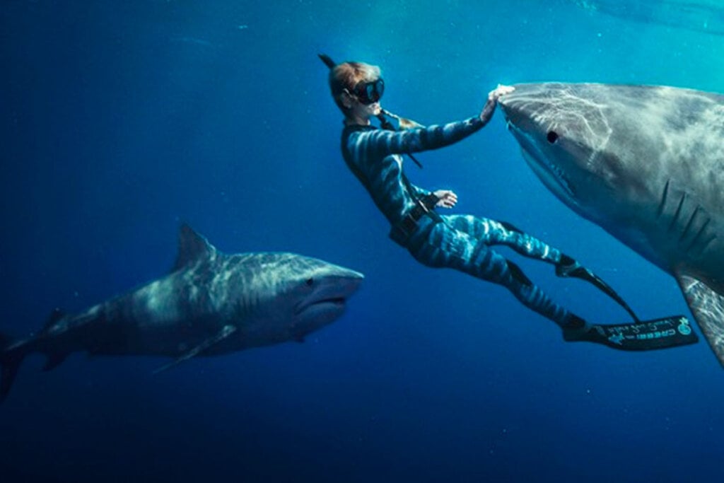 &#8220;Encantadora de Tubarões&#8221; acompanha a conservacionista e ativista Ocean Ramsey em sua jornada para defender os tubarões (Imagem: Reprodução digital | Netflix)