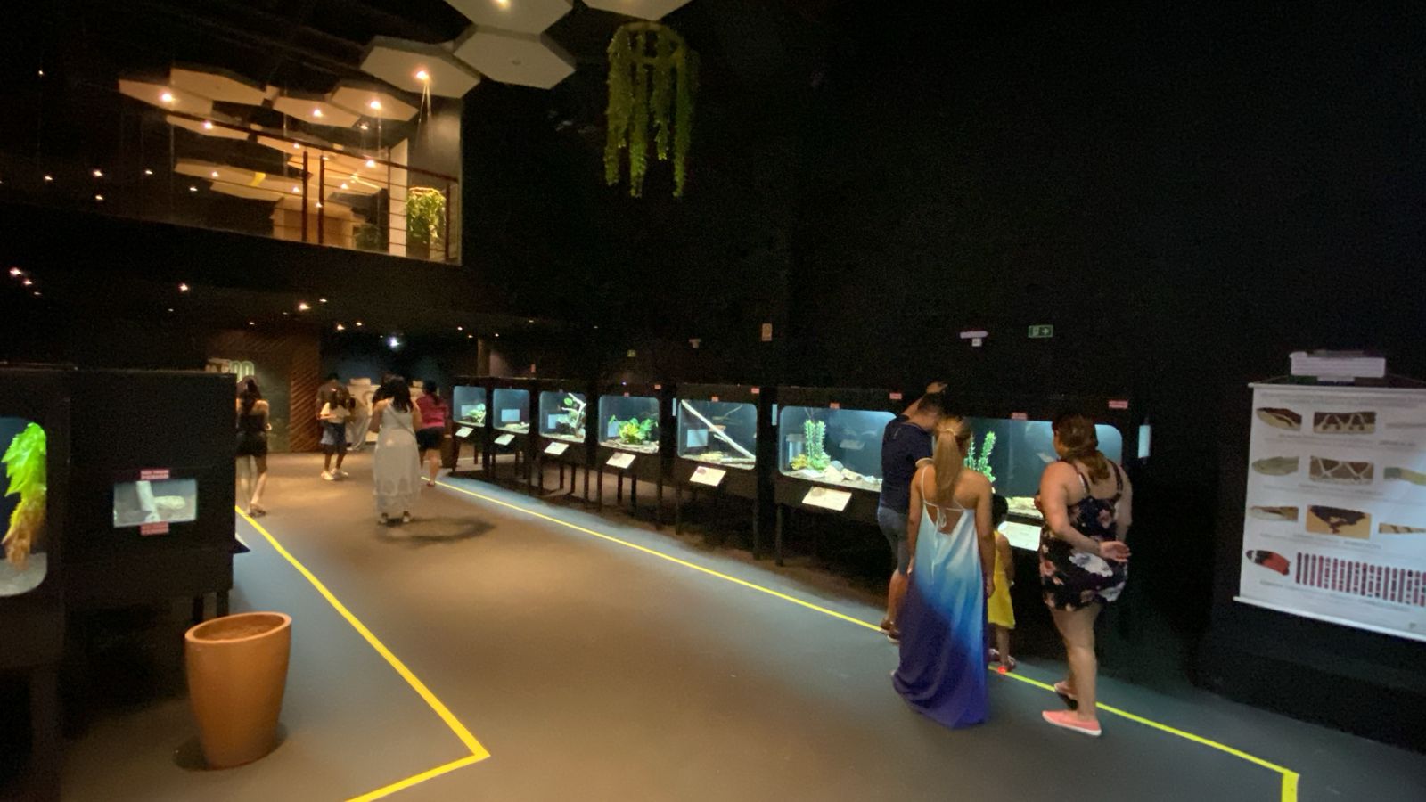 Exposição inédita aproxima público da diversidade de répteis e reforça a educação ambiental.
