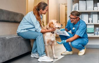 8 dicas para escolher o melhor veterinário para o seu pet 