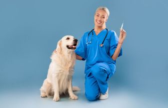5 dicas para vacinar seu pet sem comprometer o orçamento