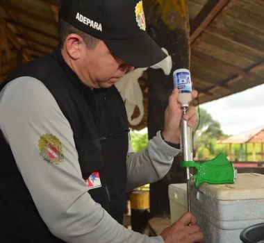 Imagem - Pará prorroga vacinação contra a raiva dos herbívoros até 31 de julho