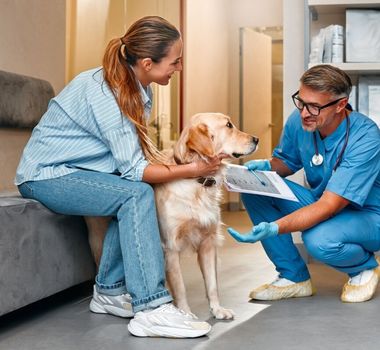 Imagem - 8 dicas para escolher o melhor veterinário para o seu pet 