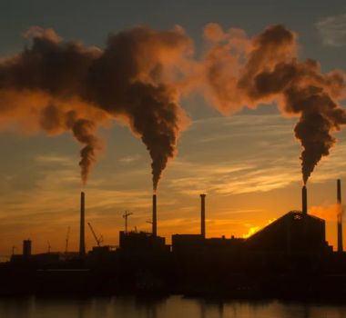 Imagem - COP30: O que são créditos de carbono e por que estão sendo cada vez mais criticados