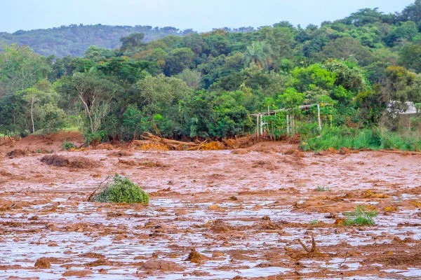 A Comissão de Meio Ambiente (CMA) aprovou projeto que pune os responsáveis por crimes que resultem na destruição ou alteração significativa de ecossistemas. 
