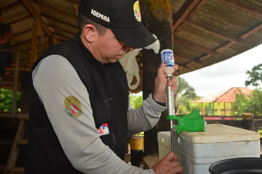Imagem - Pará prorroga vacinação contra a raiva dos herbívoros até 31 de julho