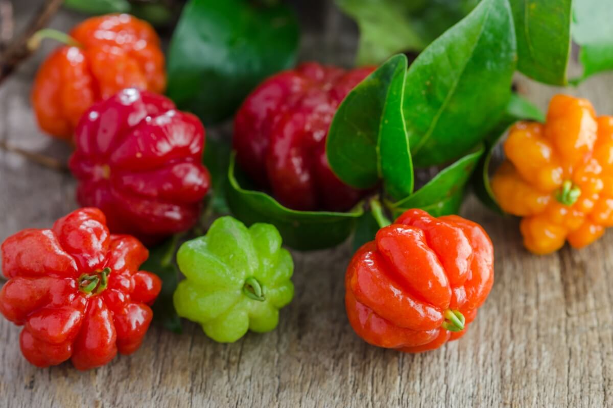 A pitanga é rica em nutrientes essenciais para o funcionamento do organismo (Imagem: artpritsadee | Shutterstock) 
