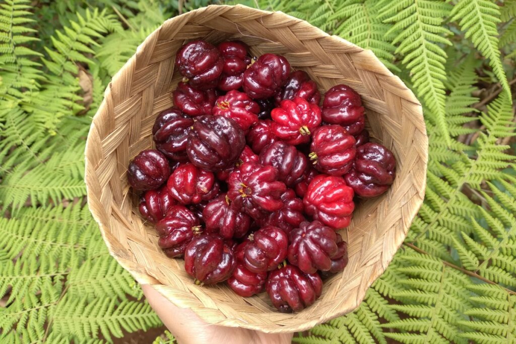 A pitanga é rica em vitamina A (Imagem: Eling Sasmita | Shutterstock) 