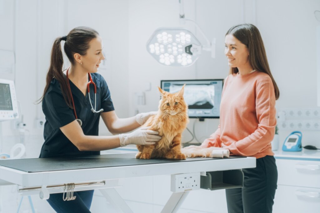 O veterinário deve responder dúvidas com paciência e se certificar de que tudo foi compreendido (Imagem: Gorodenkoff | Shutterstock)
