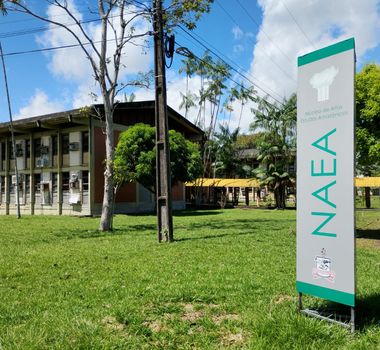 Imagem - Oficina internacional na UFPA usa metodologia francesa para explicar crise climática de forma prática