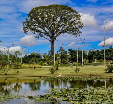 Imagem - Pará é o 1º do Brasil a criar lei de responsabilidade ambiental