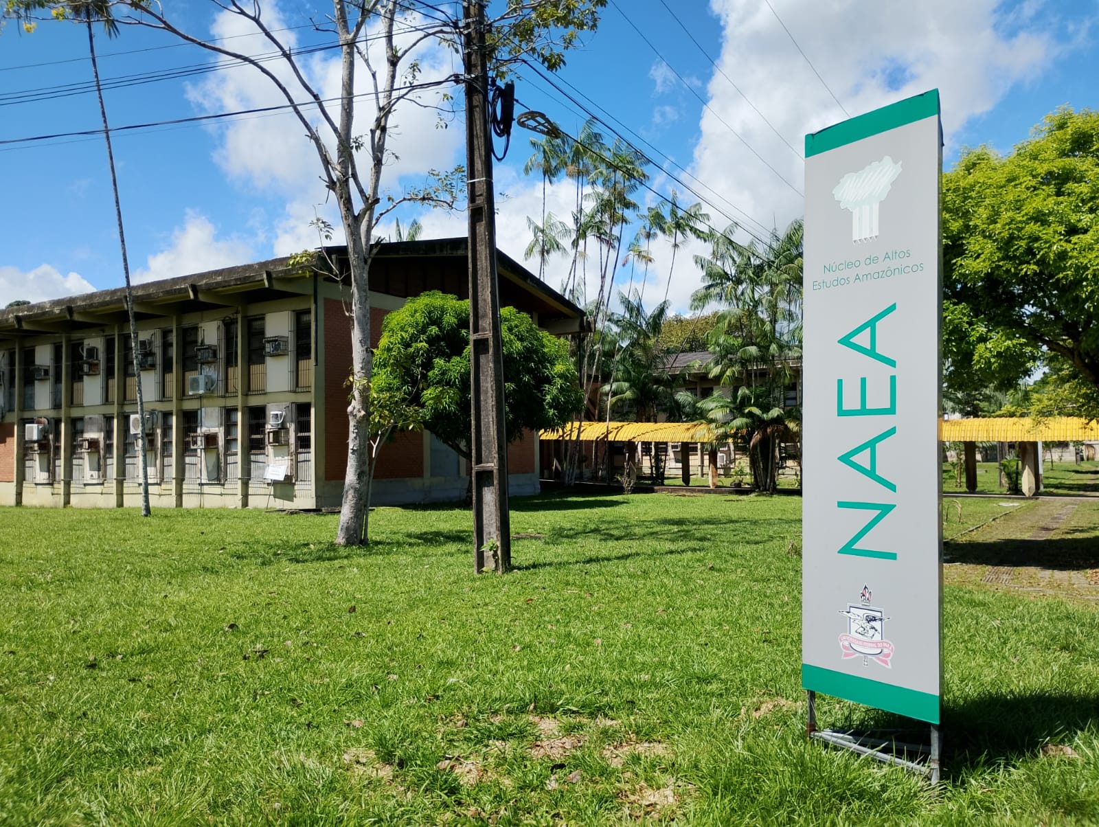 Mural do Clima promove experiência colaborativa que conecta ciência e sociedade em plena Amazônia