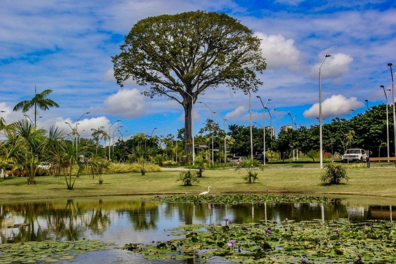 O Pará saiu à frente na implantação de políticas em defesa do meio ambiente. 