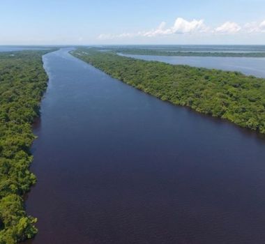 Imagem - Cheias no Amazonas expõem vulnerabilidade climática e já afetam mais de 500 mil pessoas