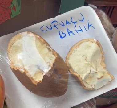Imagem - 'Cupuaçu da Bahia?' Paraenses reagem à nova polêmica sobre a origem do fruto amazônico