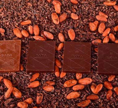 Imagem - Da plantação à barra: chocolate artesanal do Pará preserva floresta e gera renda familiar