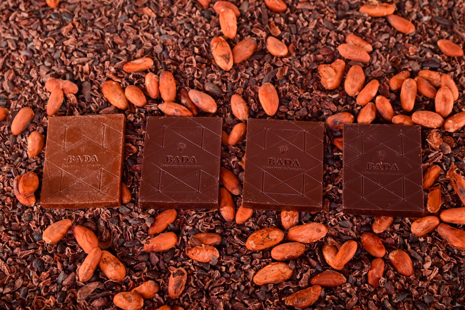 Imagem - Da plantação à barra: chocolate artesanal do Pará preserva floresta e gera renda familiar