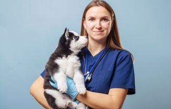 8 doenças comuns em filhotes de cachorro e gato 