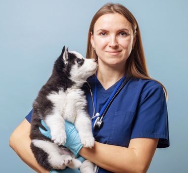 Imagem - 8 doenças comuns em filhotes de cachorro e gato 