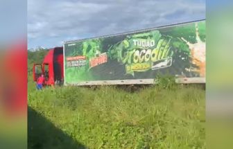 Vídeo: carreta com aparelhagem Crocodilo sofre falha mecânica e sai da estrada