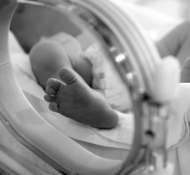 Imagem - MPPA notifica seis hospitais públicos para conter mortalidade neonatal no sudeste do Pará