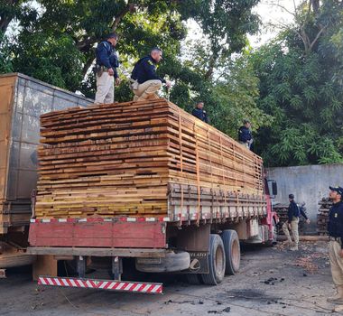 Imagem - PRF apreende 43 metros cúbicos de madeira ilegal na BR-230, em Marabá