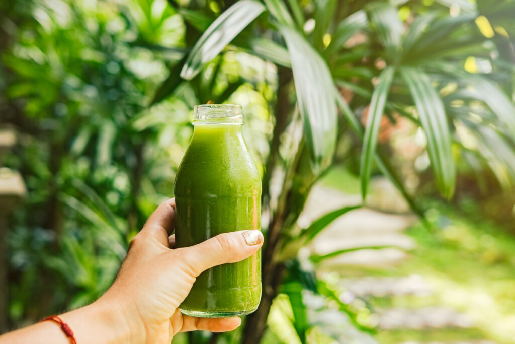 Suco de couve com nozes (Imagem: July Prokopiv | Shutterstock)