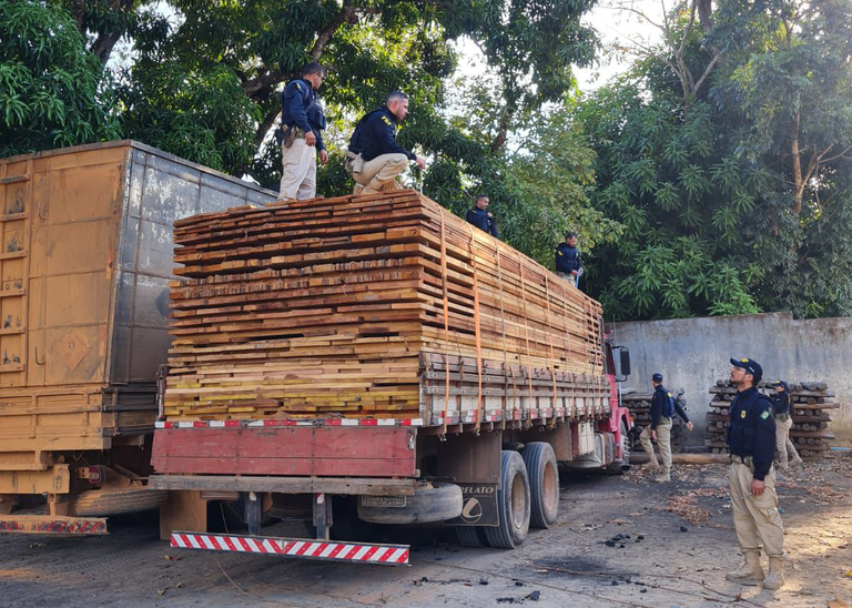 PRF apreende 43 metros cúbicos de madeira ilegal na BR-230, em Marabá - 
