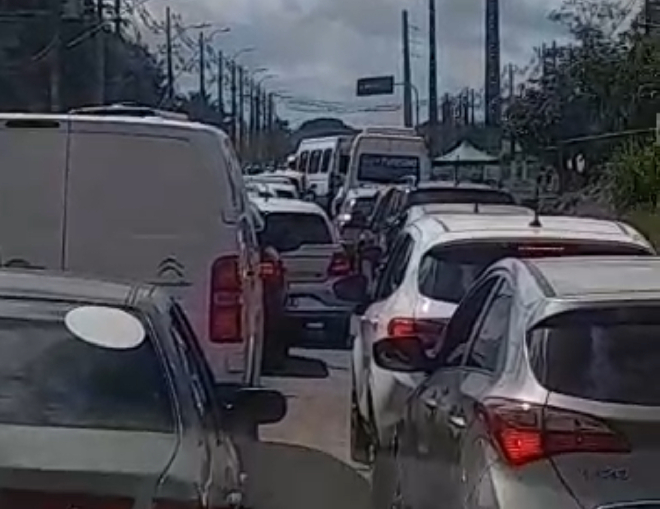 Reprodução 
