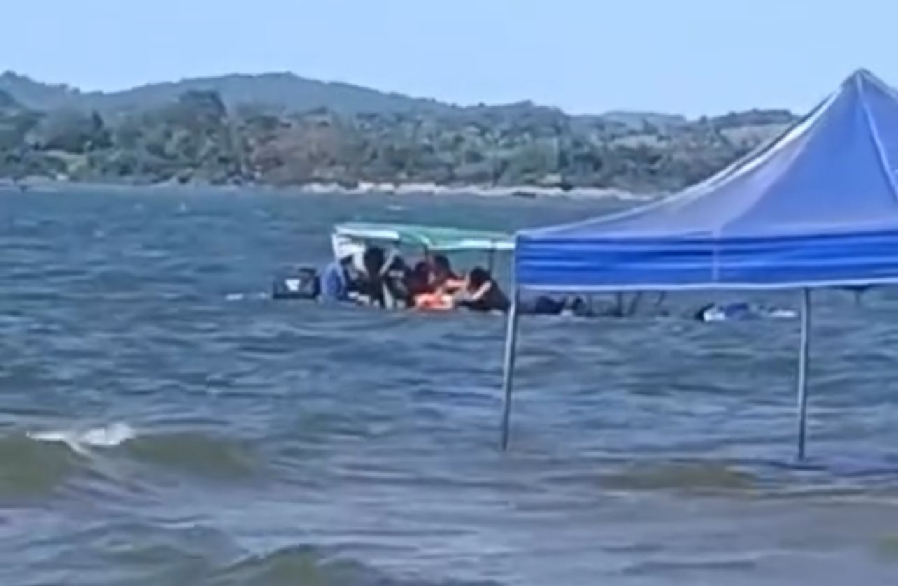 Reprodução 