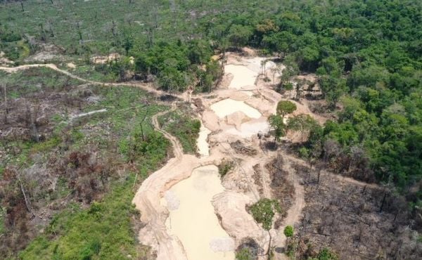 Homens são encontrados mortos com marcas de violência em área de garimpo no Pará