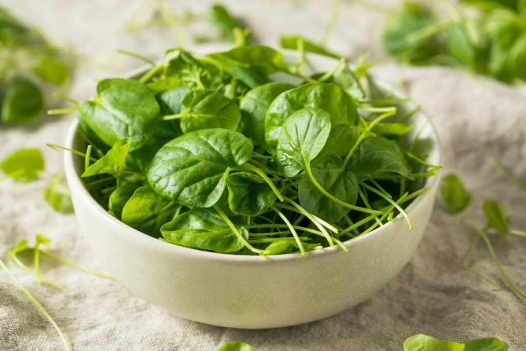 O agrião apresenta alto teor de antioxidantes, que ajudam a proteger as células (Imagem: Brent Hofacker | Shutterstock)