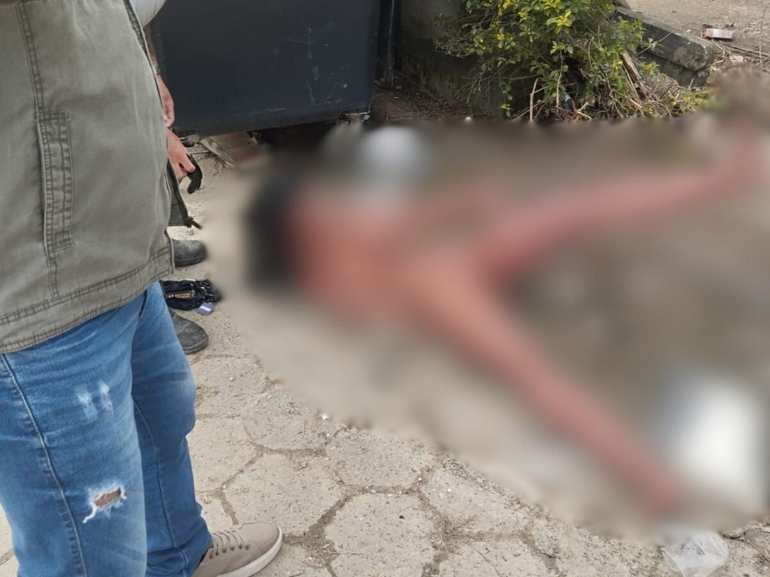 Por ter aparência realista, inicialmente, moradores pensaram se tratar de uma pessoa, o que gerou alvoroço e aglomeração no local antes da chegada da equipe de coleta.