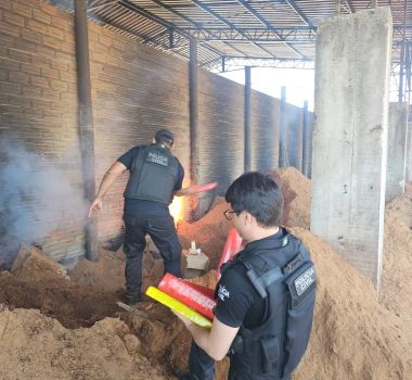Imagem - Operação conjunta elimina drogas ligadas ao tráfico na região do Baixo Tocantins