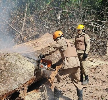 Imagem - Operação Curupira avança no combate ao desmatamento no Pará