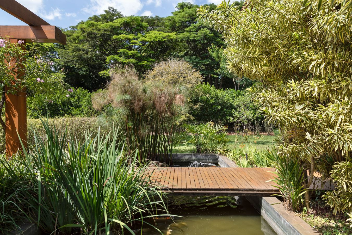 Neste projeto com paisagismo de Catê Poli, o espelho-d’água está cercado de falso-íris, espécie resistente ao inverno, além de papiro, guaimbê e jabuticabeira - 