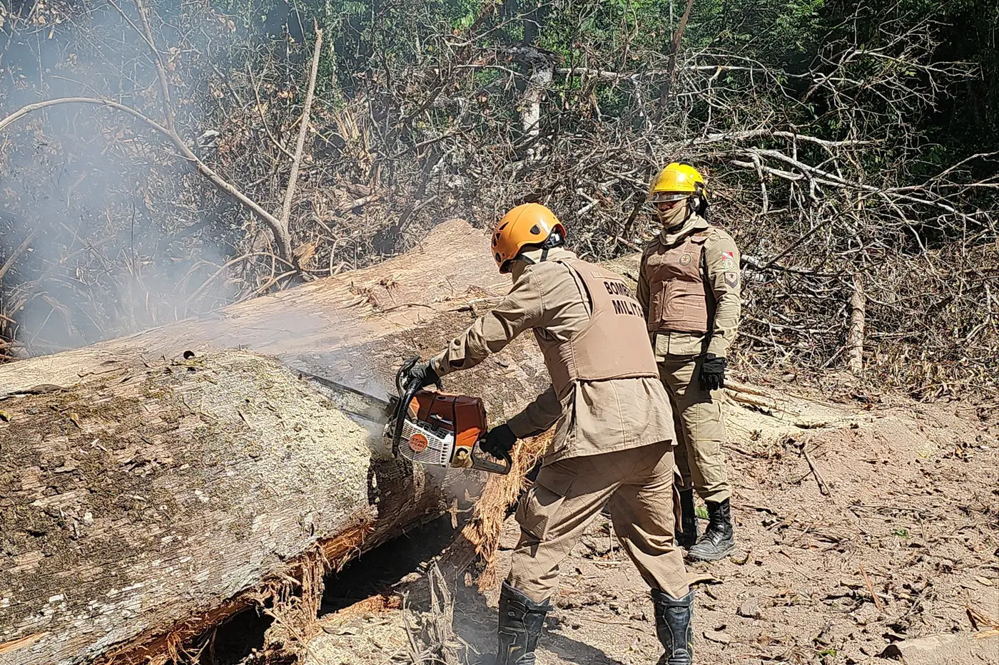 Imagem - Operação Curupira avança no combate ao desmatamento no Pará